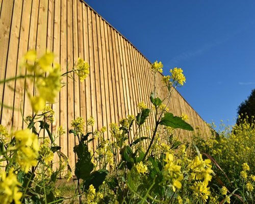 NATURALSoundBlok® Absorptive timber noise barrier
